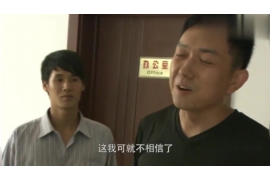 彭泽企业清欠服务